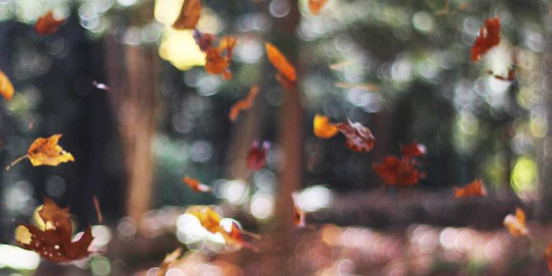 Site is created successfully! 接下来该做什么？7个关键步骤指南